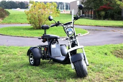 Citycoco Classic 3Wheels 18 Inch 1500w 60v 20ah Electric Mobility Scooter Trike Golf Cart Motorcycle Ebike Electric Tricycle Elderly