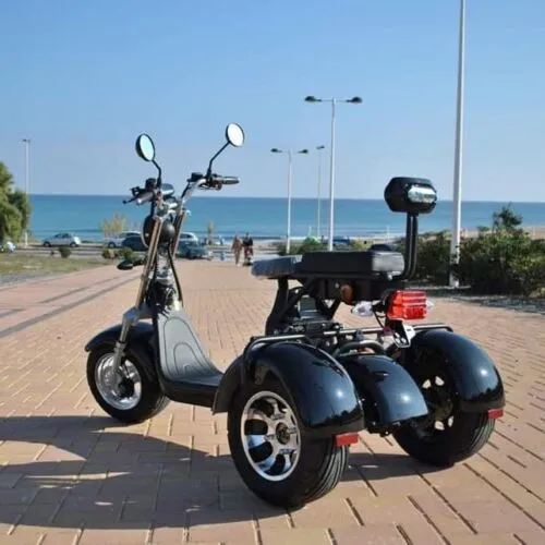 Citycoco Classic 3Wheels 18 Inch 1500w 60v 20ah Electric Mobility Scooter Trike Golf Cart Motorcycle Ebike Electric Tricycle Elderly
