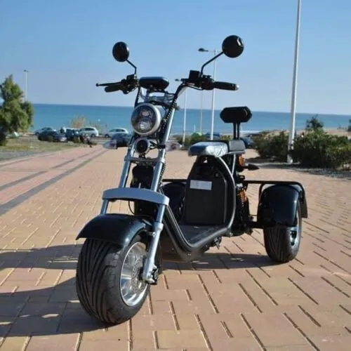 Citycoco Classic 3Wheels 18 Inch 1500w 60v 20ah Electric Mobility Scooter Trike Golf Cart Motorcycle Ebike Electric Tricycle Elderly