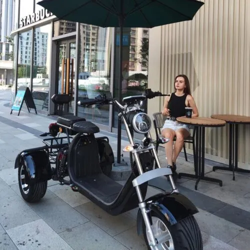 Citycoco Classic 3Wheels 18 Inch 1500w 60v 20ah Electric Mobility Scooter Trike Golf Cart Motorcycle Ebike Electric Tricycle Elderly