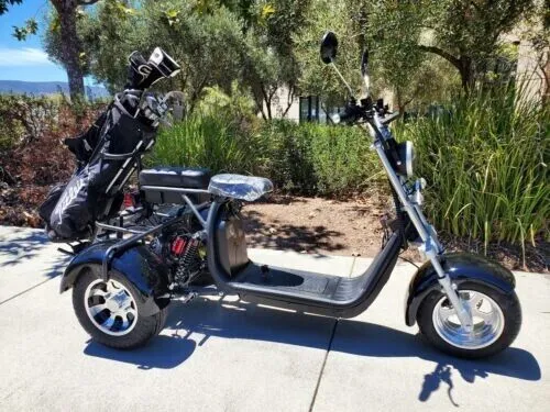 Citycoco Classic 3Wheels 18 Inch 1500w 60v 20ah Electric Mobility Scooter Trike Golf Cart Motorcycle Ebike Electric Tricycle Elderly