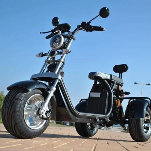 Citycoco Classic 3Wheels 18 Inch 1500w 60v 20ah Electric Mobility Scooter Trike Golf Cart Motorcycle Ebike Electric Tricycle Elderly